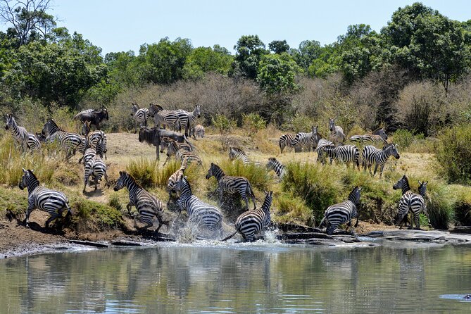 Masai Mara classic safari with optional Masai Village - Why Maasai Mara beats most first-timer safari plans