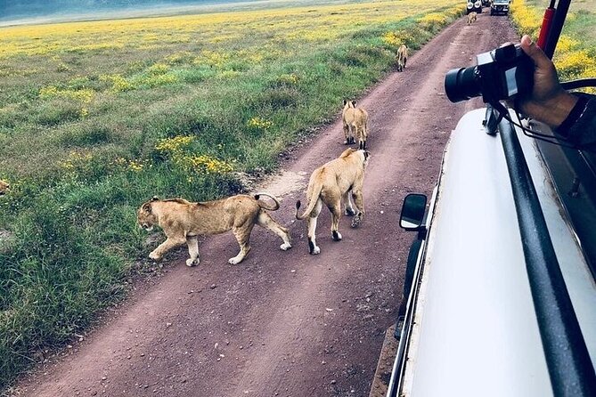 Masai Mara classic safari with optional Masai Village - Price and logistics: where you feel the value, and where you watch the extras