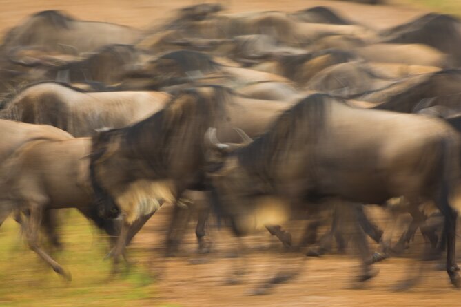 Masai Mara Game Drive - Packing like a pro: dull clothes, shoes, and the binocular rule