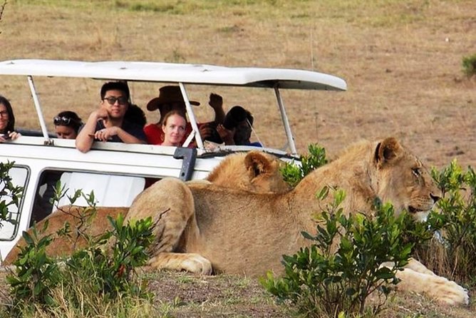 Masai Mara Game Reserve Safari Tour, 4 Days 3 Nights - Your Guide and Operator: The Care Factor