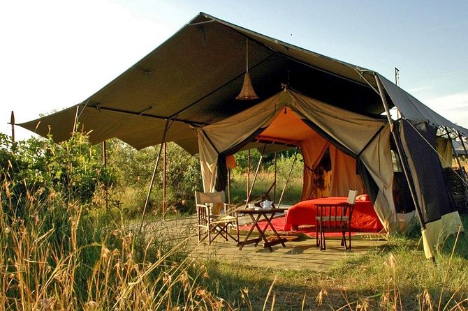 Masai Mara Game Reserve Safari Tour, 4 Days 3 Nights - Day 2 in the Masai Mara: Full-Day Drives and the Serengeti Link