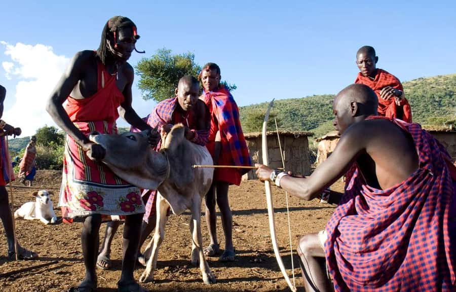 Masai Village Cultural Day Tour from Nairobi - Safety, Driving Style, and Comfort: What You Should Watch For