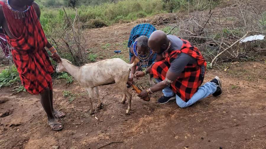Masai Village Cultural Day Tour from Nairobi - Nairobi Pickup, Air-Conditioned Comfort, and the Drive Out to Kajiado
