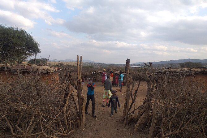 Masai village day tour. - Price that makes sense, if you budget the entry fees
