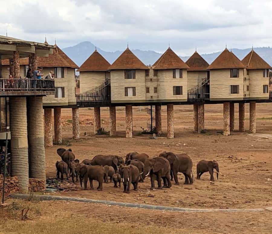 Mombasa: 2-Day Safari to Taita Hills Game Sanctuary - Taita Hills Game Sanctuary: Why this 2-Day Trip Works