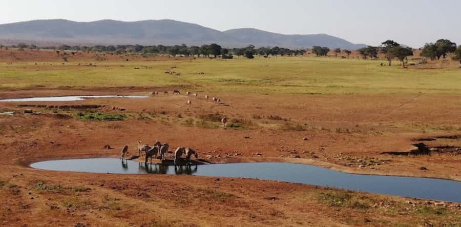 Mombasa: 2-Day Safari to Taita Hills Game Sanctuary - Price and Value: Is $590 per Person Fair for 2 Days?