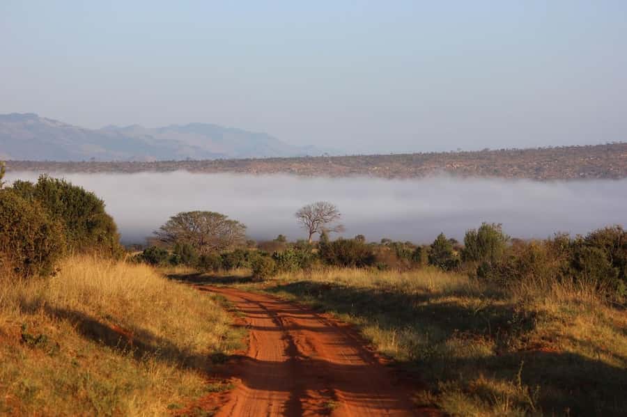 Mombasa: 3-Days 2-Nights Tsavo East and West Private Safari. - Day 3: A final early drive in Tsavo East, then the coast return