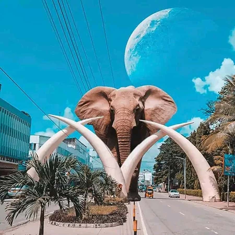 Mombasa: City Heritage Walking Tour with Tuk Tuk Ride. - Why Mombasa’s old town works best as a walk, with quick rides
