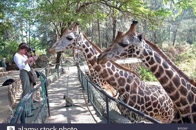 Mombasa city tour, Fort Jesus and Haller Park - Lunch reality check: you will eat local, but you pay for it
