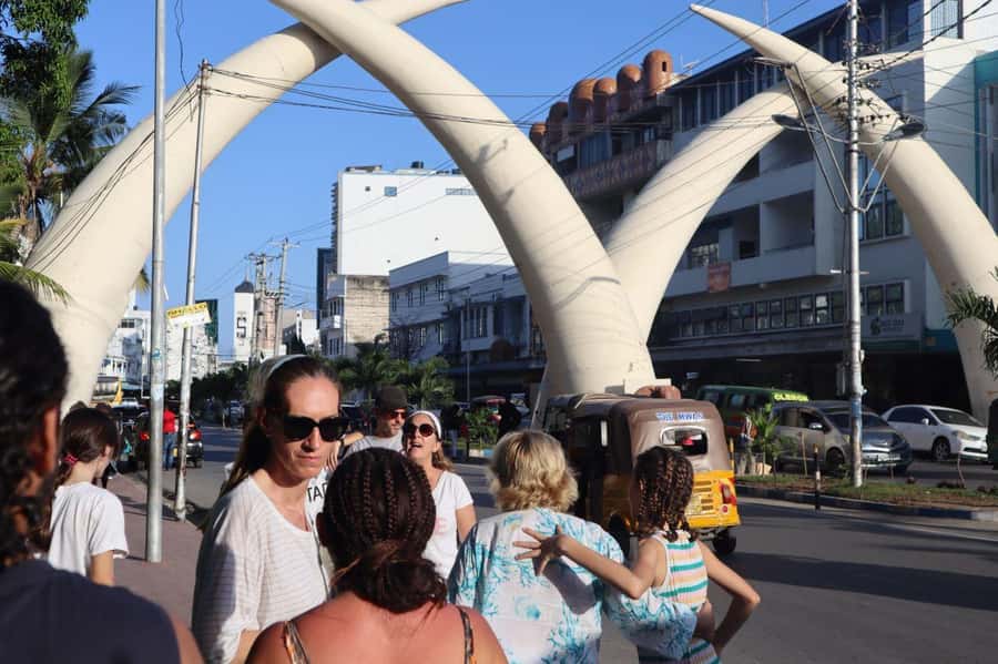 mombasa city tour full day - Haller Park: giraffe feeding, a guided animal walk, and crocodile feeding