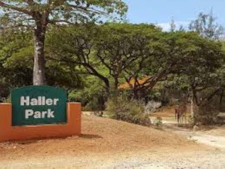 Mombasa: Discovery Day Tour and Haller Park - Lunch and budget reality: what is included, what is not