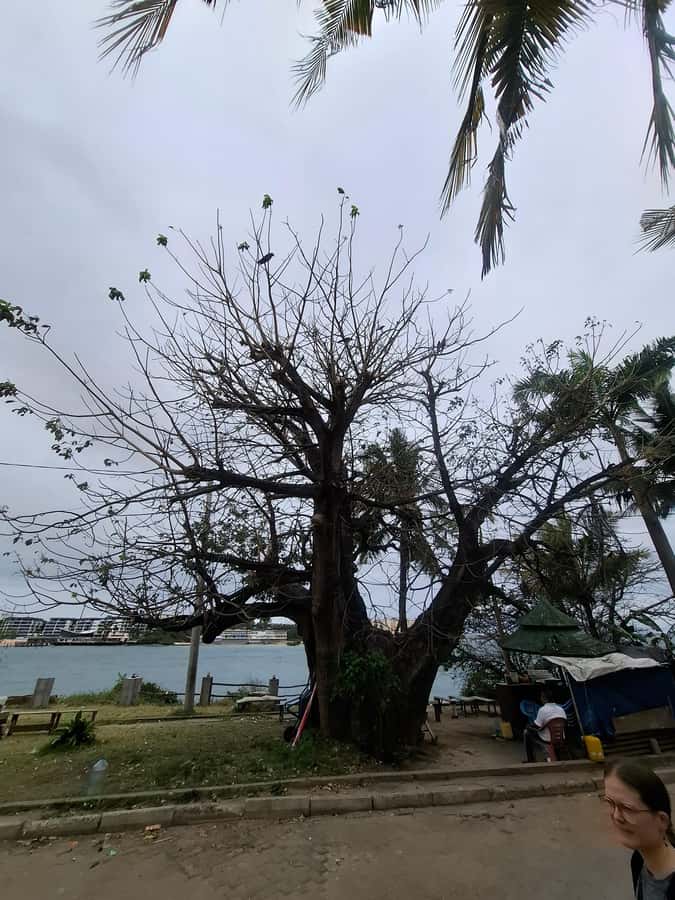 MOMBASA:FortJesus,OldTown,SpiceMarket, Shiva Temple DayTour. - Should you book this Mombasa day tour?