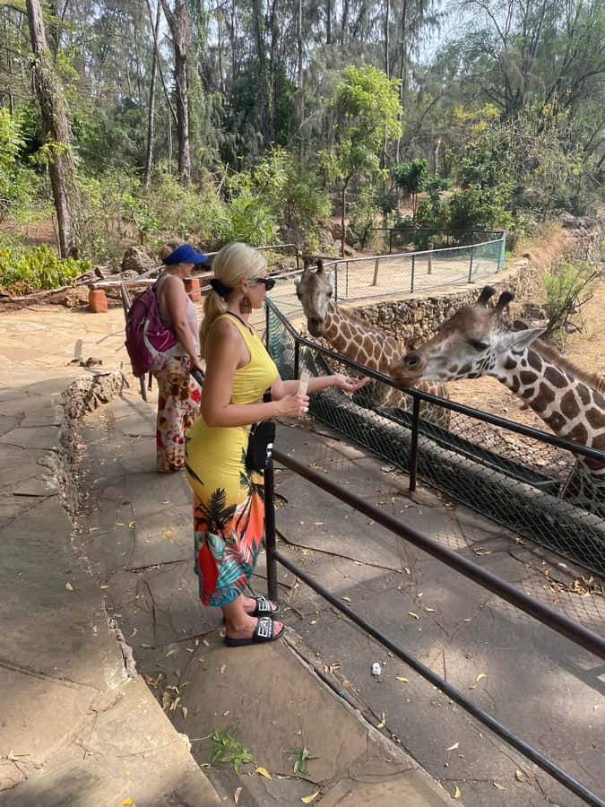 Mombasa Full Day City tour & Haller Park - Mombasa Old Town: Swahili and Orman Arab streets you can read