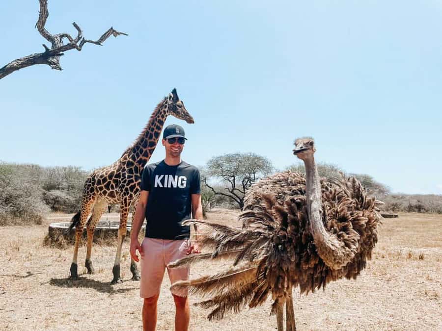 Mombasa: Guided Nature Walk Amongst Giraffes - Nguuni Nature Sanctuary near Mombasa, and why this feels different