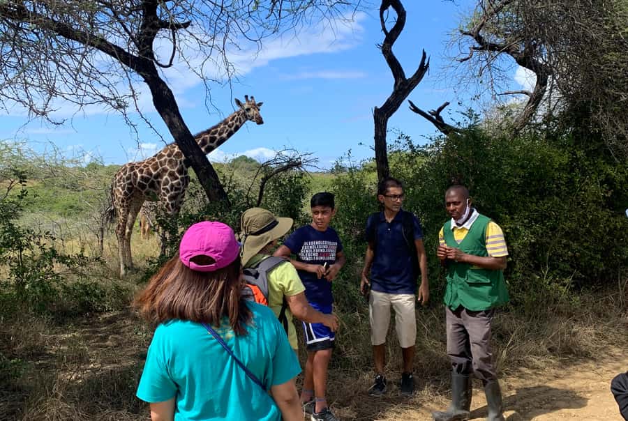 Mombasa: Guided Nature Walk Amongst Giraffes - The conservation lesson: what you actually learn beyond animal spotting