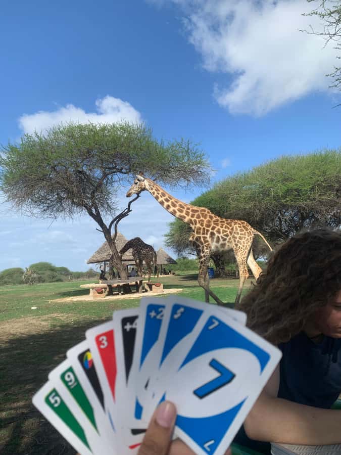 Mombasa: Guided Nature Walk Amongst Giraffes - Timing and expectations: how long it feels, and where the time goes