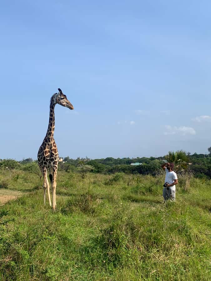 Mombasa: Guided Nature Walk Amongst Giraffes - Safety and animal respect rules, in plain terms