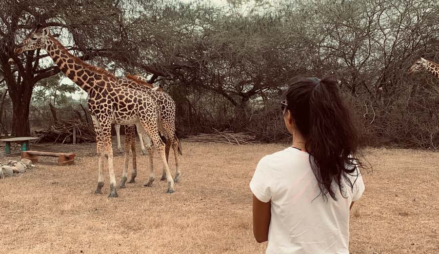 Mombasa: Guided Nature Walk Amongst Giraffes - Price and value: is $38 worth it?