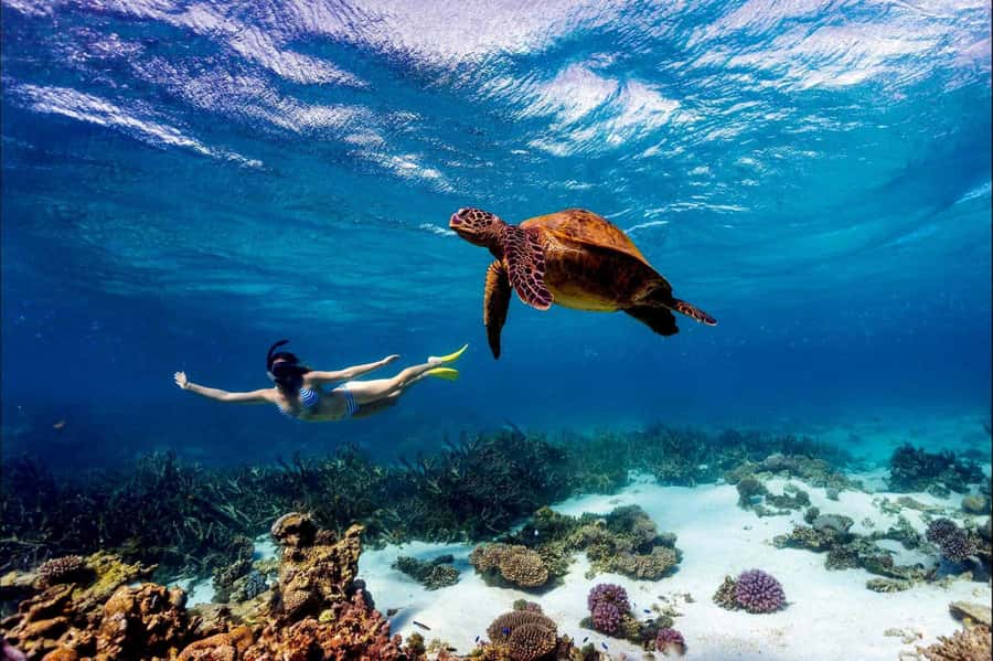 Mombasa: Kisite Park Private Cruise with Breakfast and Lunch - Quick Takes Before You Go