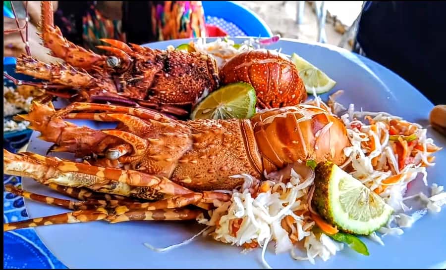 Mombasa: Kisite Park Private Cruise with Breakfast and Lunch - Who This Trip Fits Best, and Who Might Want to Skip
