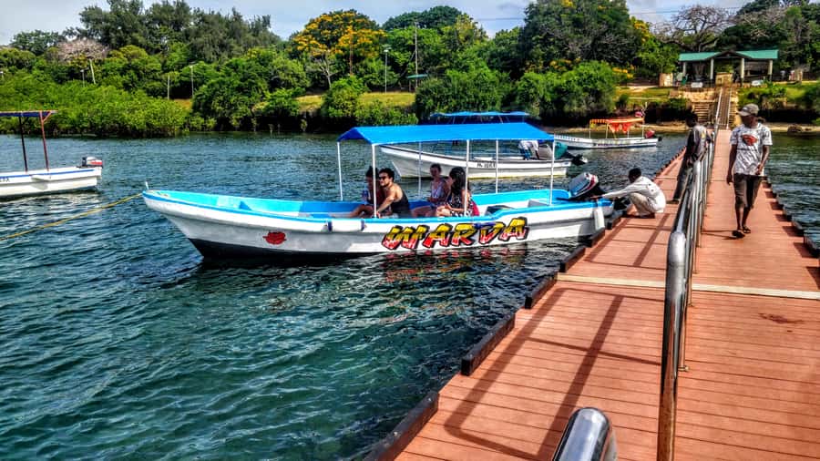 Mombasa: Kisite Park Private Cruise with Breakfast and Lunch - Pickup, Drive, and Morning Logistics From Mombasa or Diani