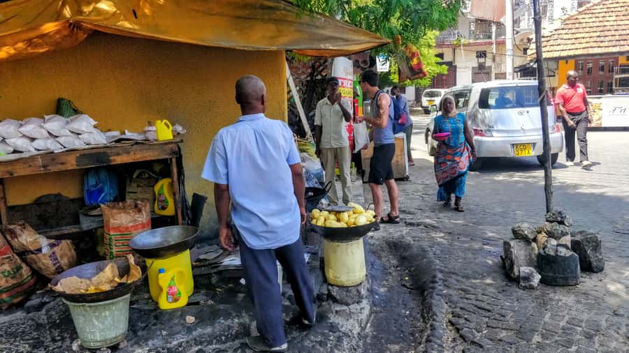 Mombasa: Private City Tour with Fort Jesus & Haller Park - Haller Park feeding show and reptile park, or Akamba carvings workshop
