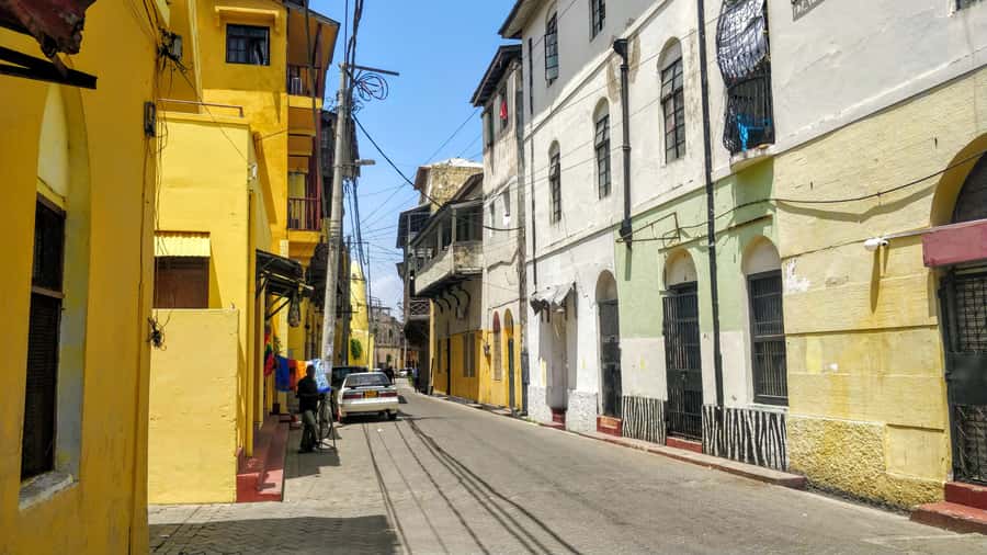 Mombasa: Private City Tour with Fort Jesus & Haller Park - Temple stop and spice market: seeing faith and trade in the same frame