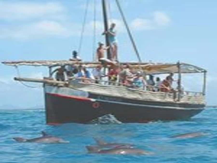 Mombasa: Snorkeling, Dolphin watching, seafood lunch. - KWS check-in and sailing on a dhow or fiber boat