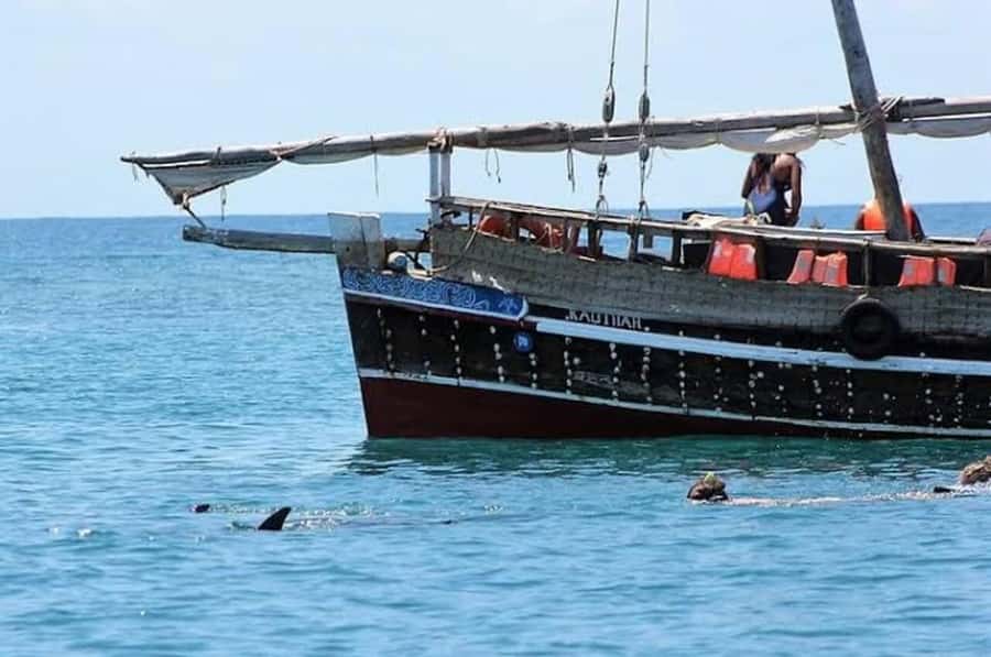 Mombasa: Snorkeling, Dolphin watching, seafood lunch. - Morning van pickup from Diani or Mombasa