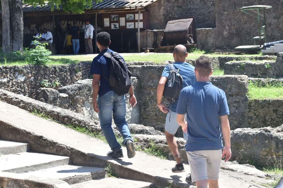 Mombasa Tour by Ghalib - Who this tour fits best (and who should skip)
