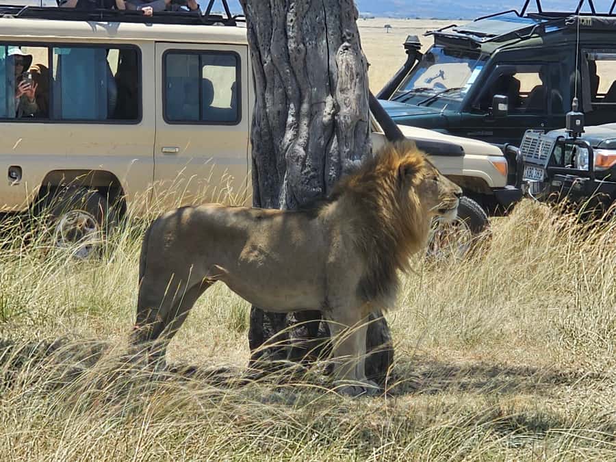 Mombasa: Tsavo East National Park Day Trip with Lunch - FAQ