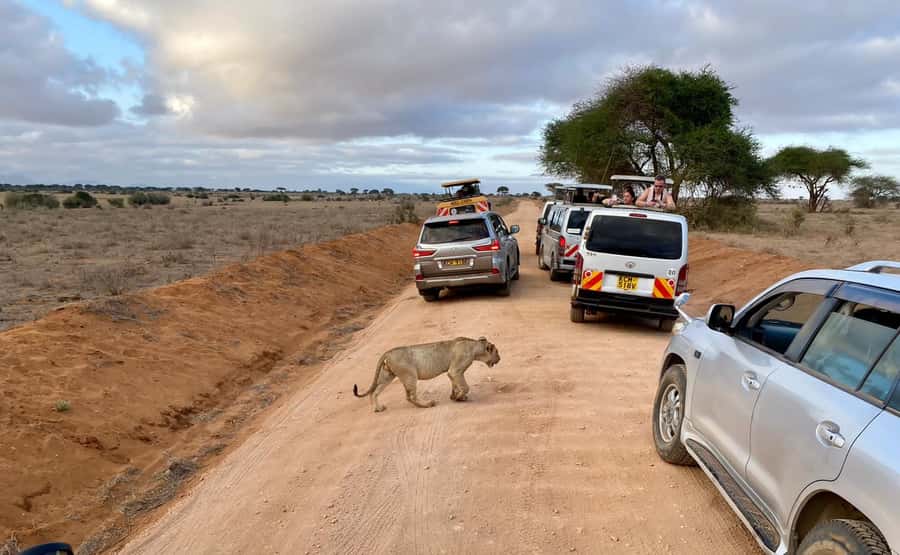 Mombasa: Tsavo East Ngutuni Sanctuary Overnight Safari - Tsavo East and Ngutuni Sanctuary: A 2-Day Safari That Makes Sense