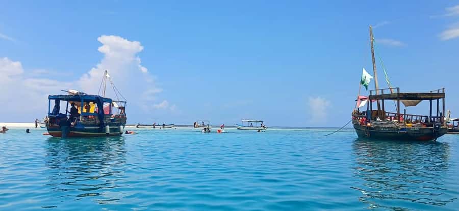 Mombasa: Wasini Dolphin Tour - Getting to Shimoni Jetty: early pickup from Nyali, Mombasa Town, and Diani