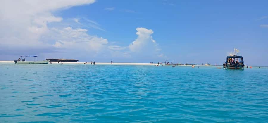 Mombasa: Wasini Dolphin Tour - Wasini Island: seafood lunch and a guided Swahili village walk