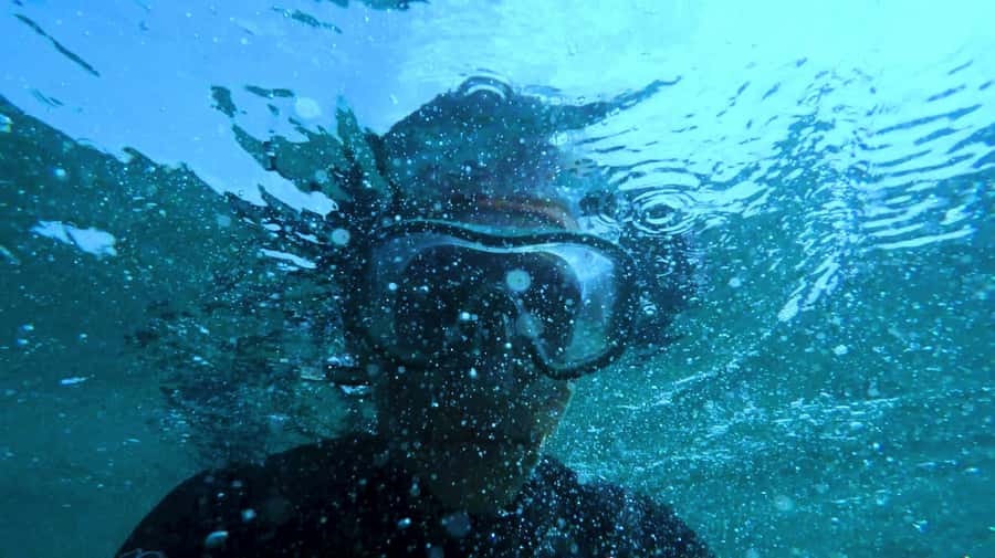 Mombasa: Wasini Dolphin Tour - Who this Wasini dolphin and Kisite snorkeling day fits best