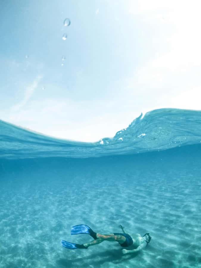 Mombasa: Wasini Dolphin Tour - Should you book the Mombasa Wasini Dolphin Tour?