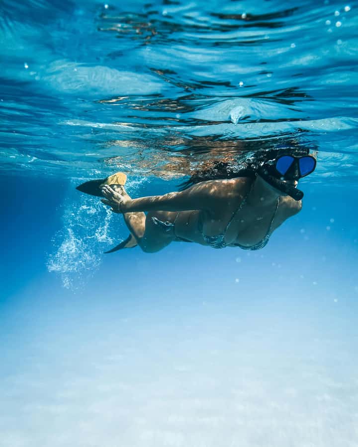 Mombasa: Wasini Dolphin Tour - FAQ
