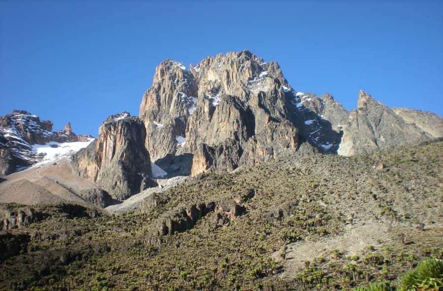 Mt Kenya: Full-day hiking tour from Nairobi - Wildlife Moments: How to Actually Spot Animals on This Trail