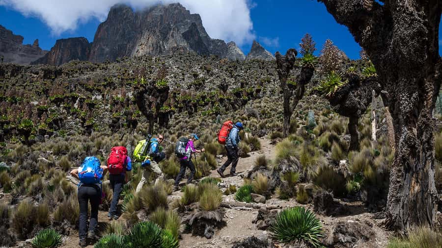 Mt Kenya: Full-day hiking tour from Nairobi - What to Bring for a Comfortable Day on Mt Kenya