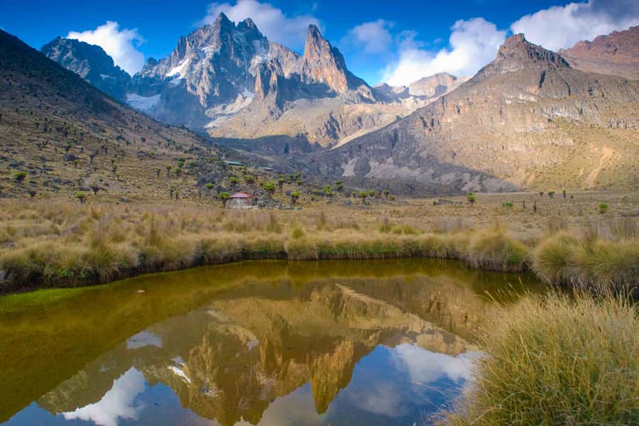 Mt Kenya: Full-day hiking tour from Nairobi - Rainforest to Bamboo Groves: Timing Your Effort on the Way Up