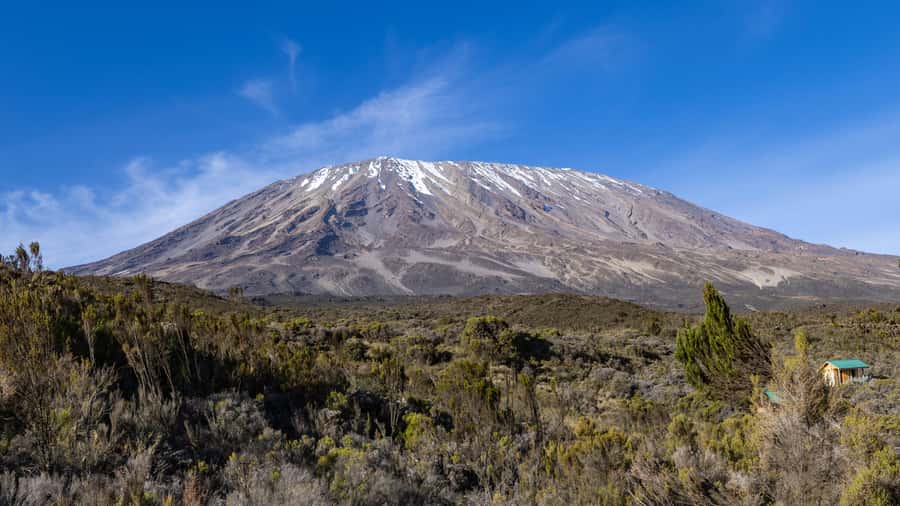 Mt. Kenya hike: 5 Days Hike to Lenana Peak Via Sirimon route - Day 1: Nairobi pickup, Nanyuki shuttle, Sirimon Gate to Old Moses Camp