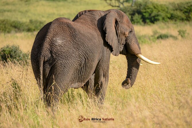 Multi Day Masai Mara Lake Nakuru Park Hellsgate Park Tour - Where this tour fits best, and who should reconsider
