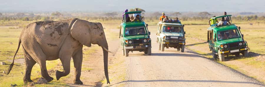 Nairobi: 3-Day Maasai Mara Group Tour with 4X4 Jeep Safari - The value of a full Mara day (and why it beats shortcuts)