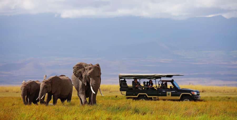 Nairobi: 4-Day Maasai Mara & Lake Nakuru Camping Safari - The Masai Mara and Lake Nakuru Mix, Why This Itinerary Works