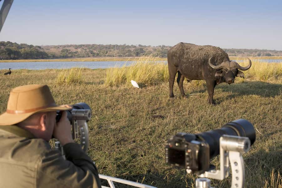 Nairobi: 4-Day Maasai Mara & Lake Nakuru Camping Safari - Wildlife Expectations: Big Cats, Plains Giants, River Life, and Rhinos