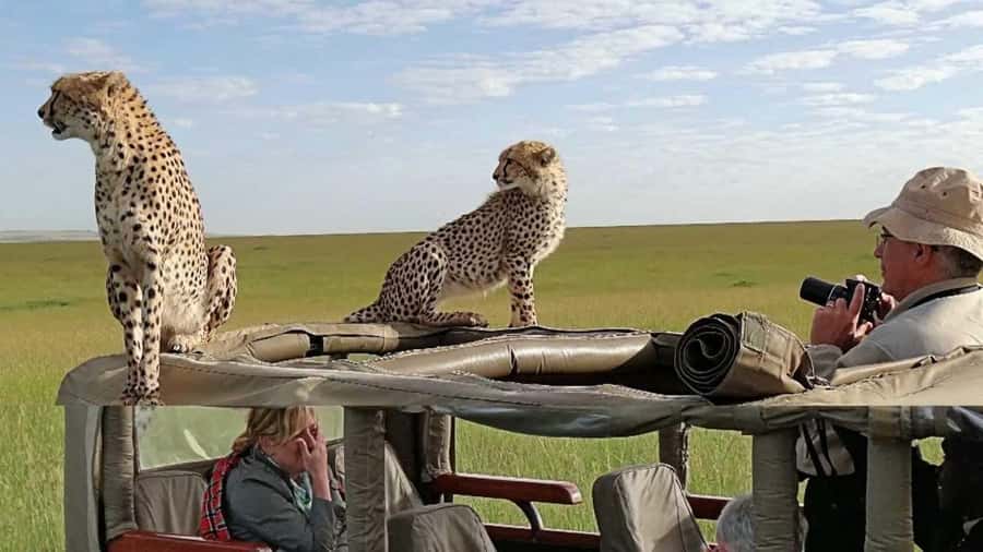 Nairobi: 4-Day Maasai Mara & Lake Nakuru Camping Safari - A Few Real-World Notes Before You Go
