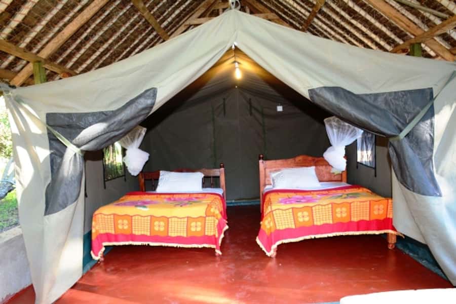 Nairobi: 4 Day Masai Mara and Lake Nakuru Camping Safari - Lodging that feels like safari, not survival