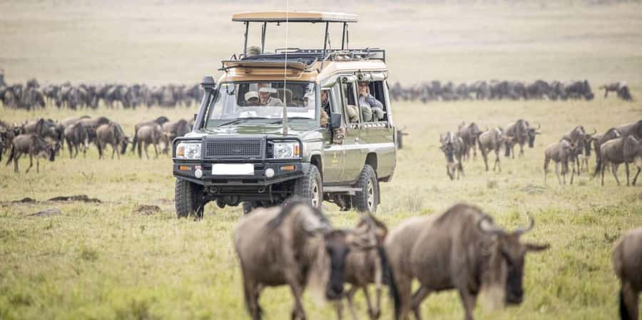 Nairobi: 4-Day Masai Mara, Lake Naivasha & Hell's Gate Tour - Key highlights you’ll actually care about