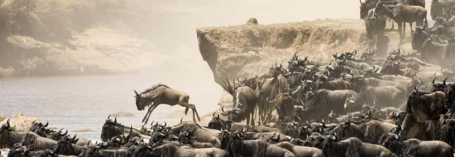 Nairobi: 4-Day Masai Mara, Lake Naivasha & Hell's Gate Tour - Logistics I would manage before you pay