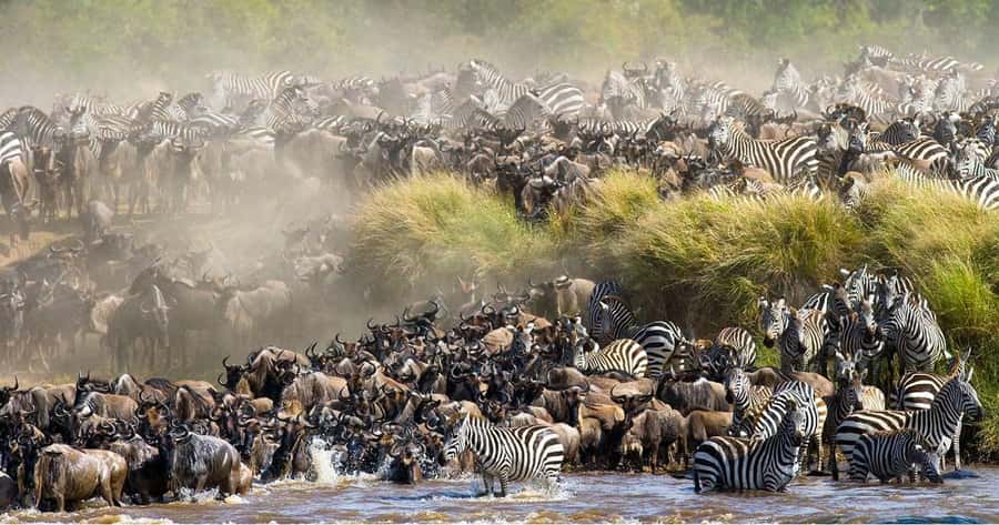 Nairobi: 4-Day Masai Mara, Lake Naivasha & Hell's Gate Tour - Who this tour fits best